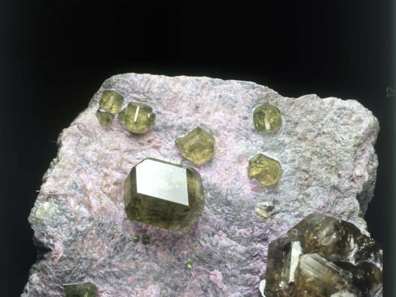 Sondrio, Collezione mineralogica F. Grazioli Sondrio, Collezione mineralogica F. Grazioli